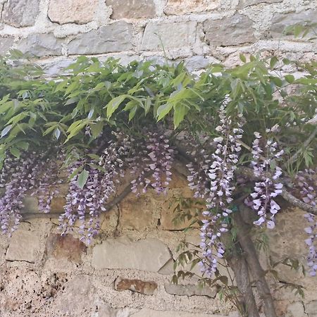 Les Glycines Διαμέρισμα Salles-la-Source Εξωτερικό φωτογραφία