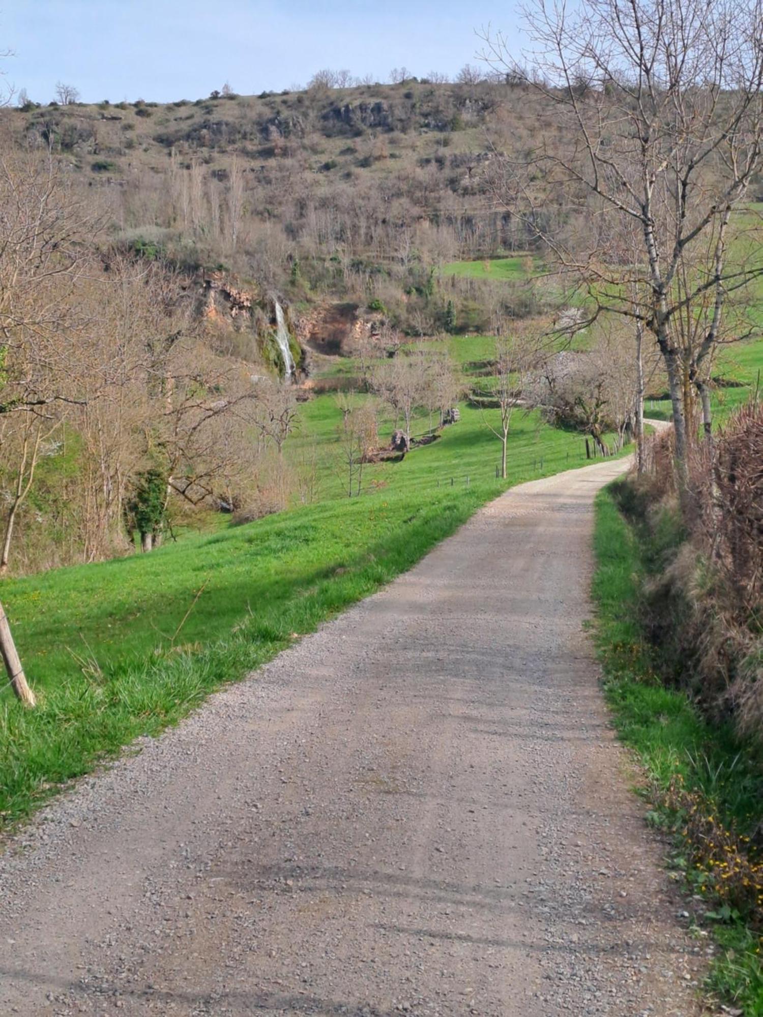 Les Glycines Διαμέρισμα Salles-la-Source Εξωτερικό φωτογραφία